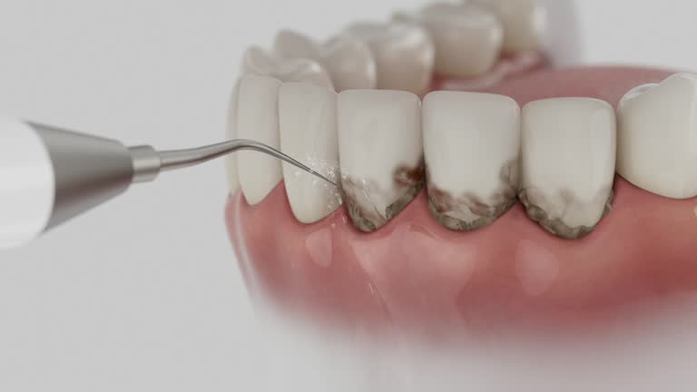 Reliable Dental contractor in Mobile, AL by Dentist Open Now